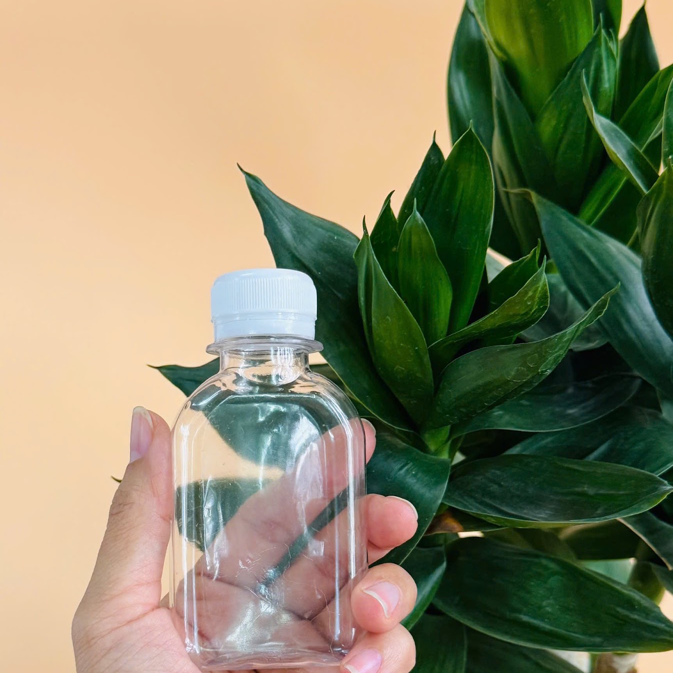 chai28158_6 Chai nhựa Pet Vuông dẹt dung tích 100ml đựng cà phê muối