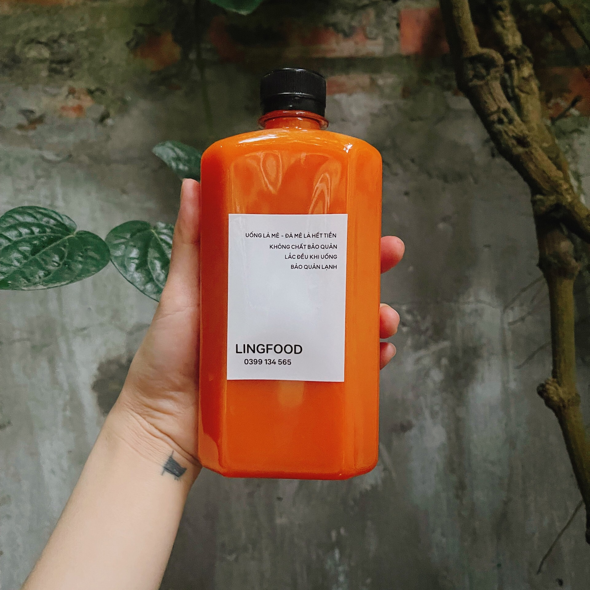 chai28215_4